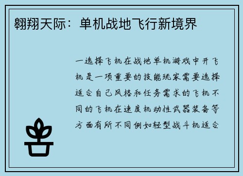 翱翔天际：单机战地飞行新境界